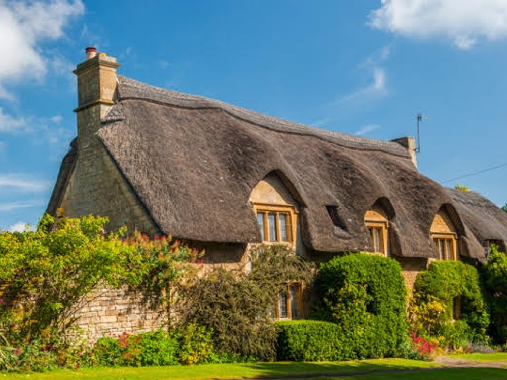 thatched roof design